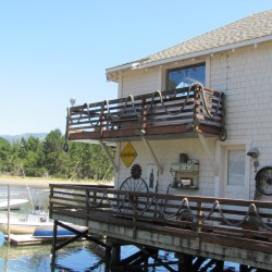 on bolinas lagoon
