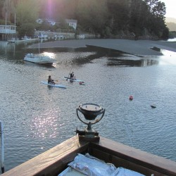 kayaks or paddle boards?