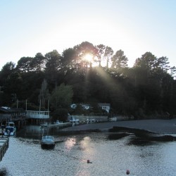 sunset through the trees