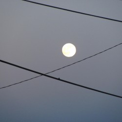 moon & power lines