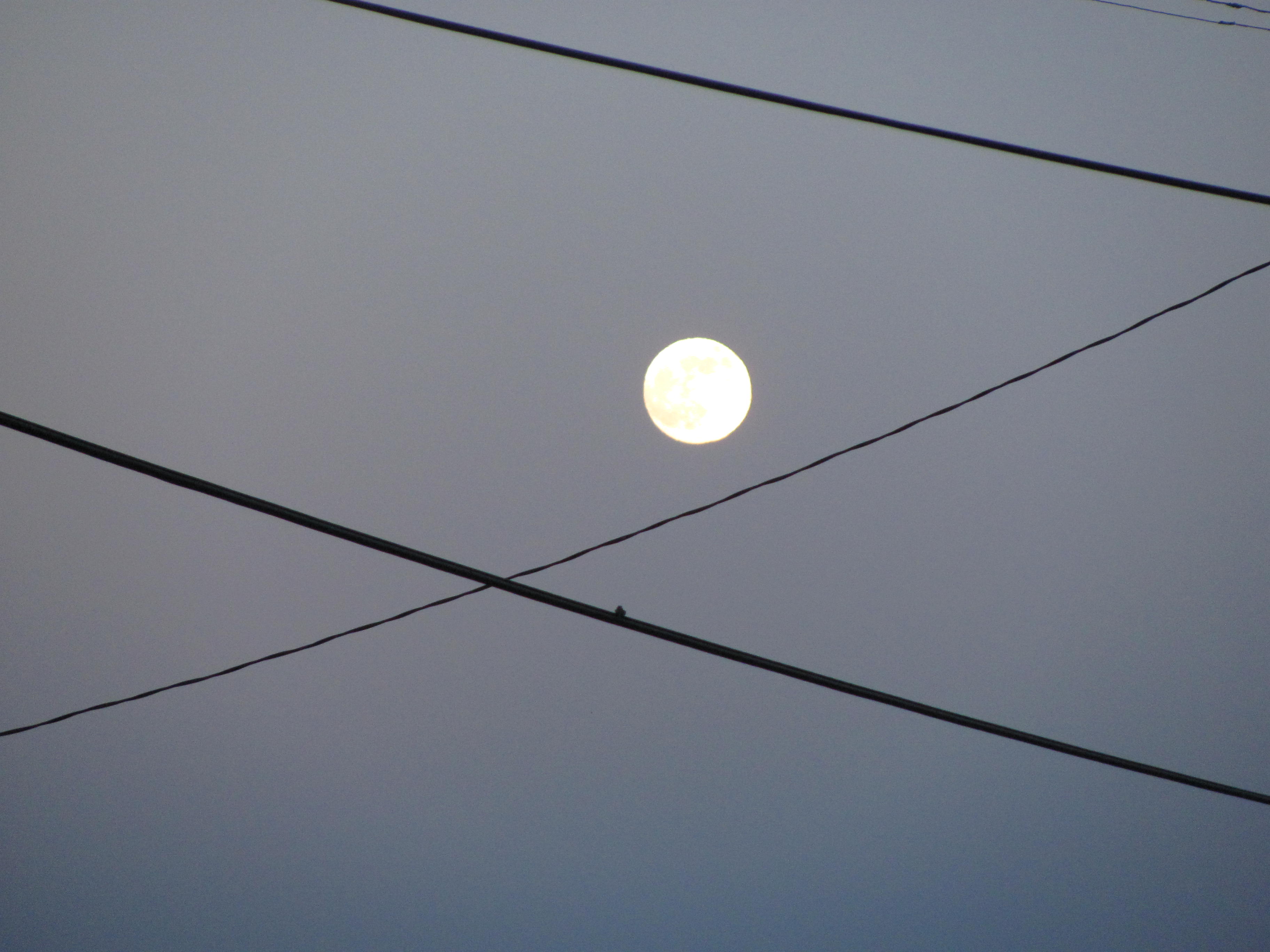 moon & power lines moon & power lines