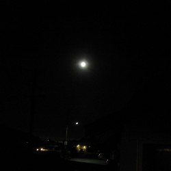 boat under full moon